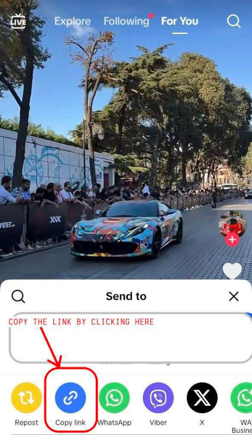 home.download_tiktok_videos